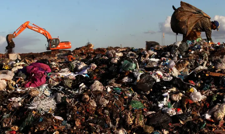 Brasil assina compromisso na COP 29 para reduzir emissões de metano