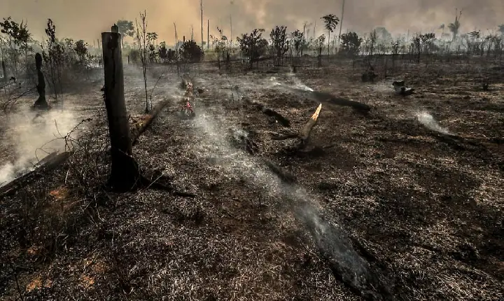 Brasil bate recorde de áreas queimadas em 2024