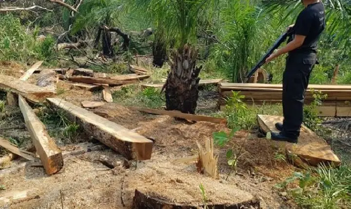 Brasil busca acordos climáticos após decepção da COP29