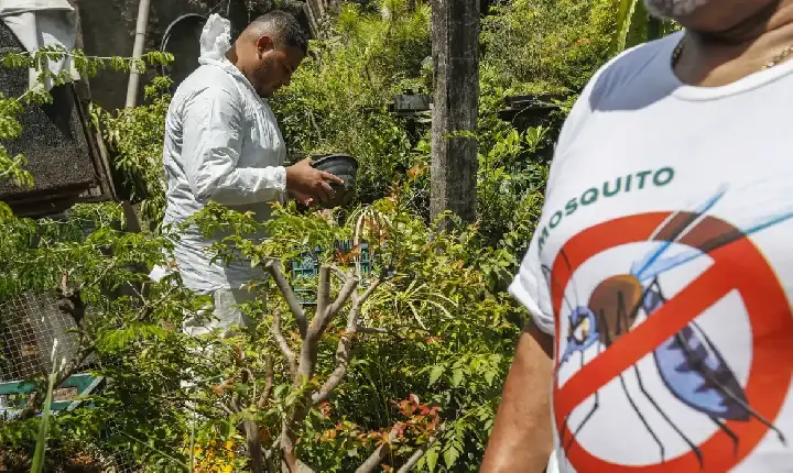 Dia D contra dengue promove ações de conscientização em todo o Brasil