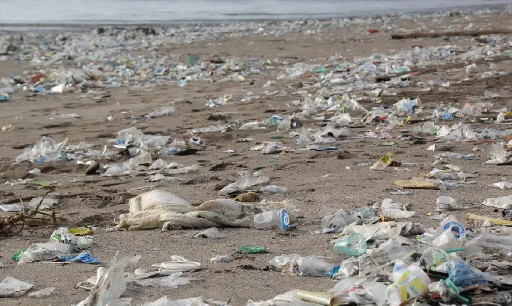 Estudo revela as praias mais contaminadas por microplásticos no Brasil
