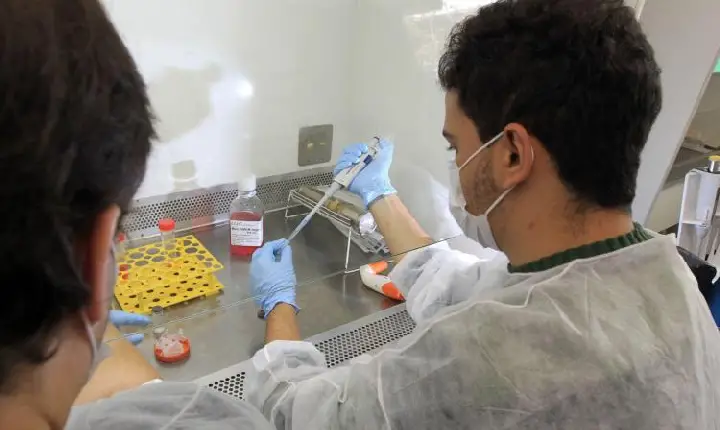 Fiocruz oficializa pedido para produzir vacina contra dengue