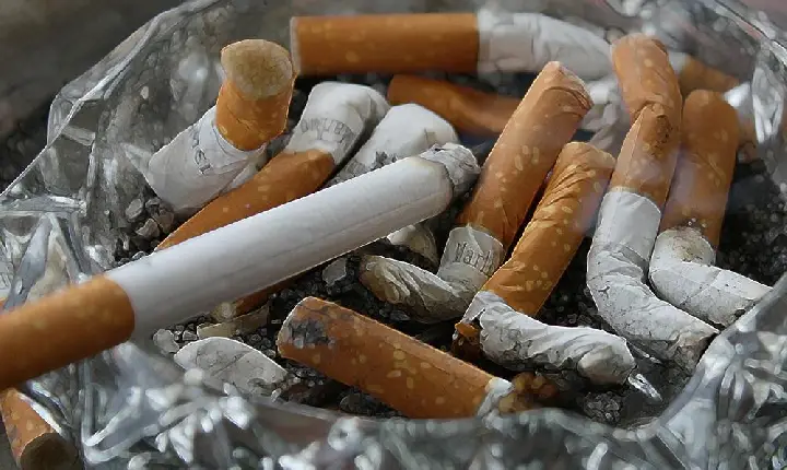 França proíbe consumo de cigarros em espaços públicos frequentados por crianças