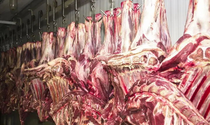 Frigoríficos do Brasil avaliam suspender exportações de carne aos EUA