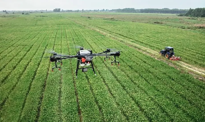 Investimento em agricultura sustentável precisa crescer 15 Vezes até 2030