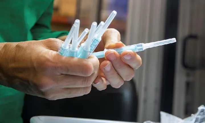 Nova vacina contra Zika tem resultados promissores em testes com camundongos