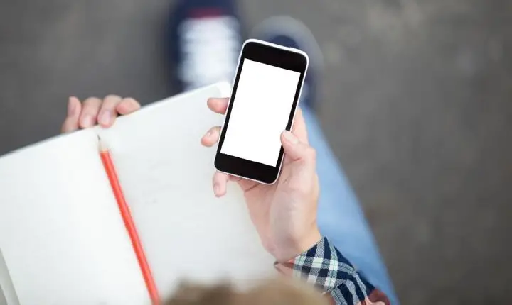 Novo Decreto Federal regulamenta o uso de celulares nas escolas: saiba o que muda para instituições de ensino
