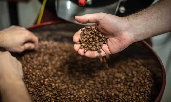 O café do Brasil nunca esteve tão em alta
