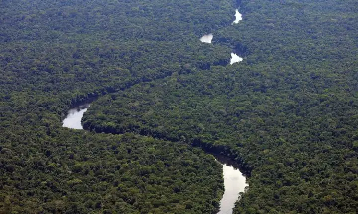 Primeiros editais para restauração da Amazônia são lançados