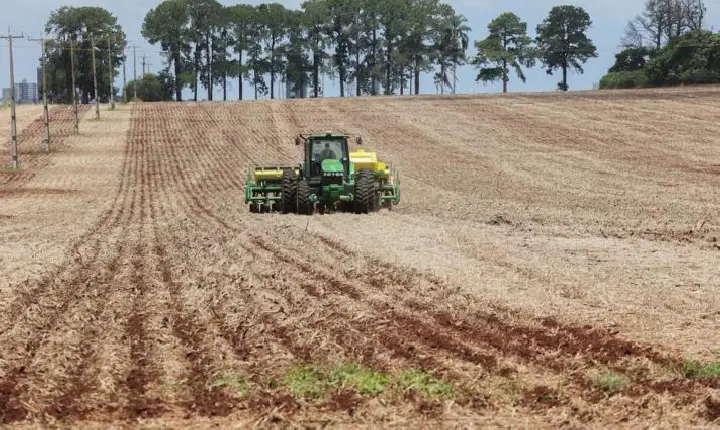 Produção brasileira de grãos na safra 2024/25 indica recorde de 345,23 milhões de toneladas