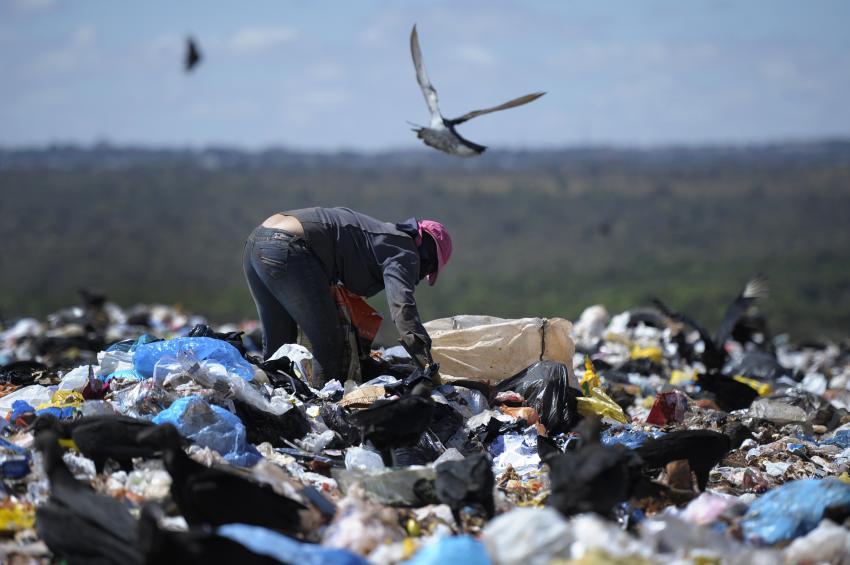Metade dos brasileiros quer reciclar mais em 2025